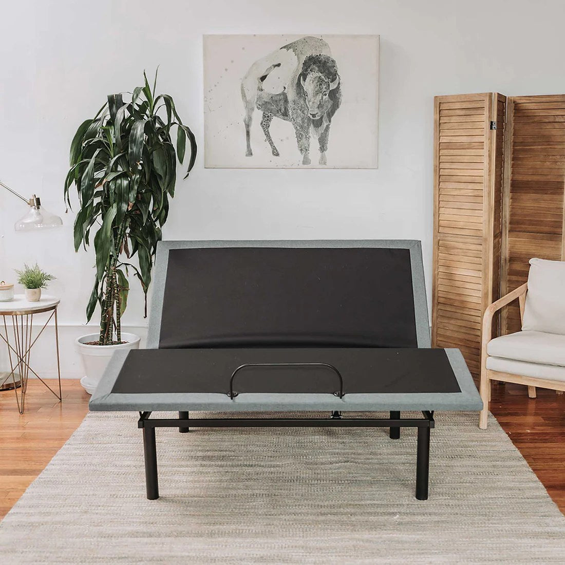BTX4 Adjustable Bed