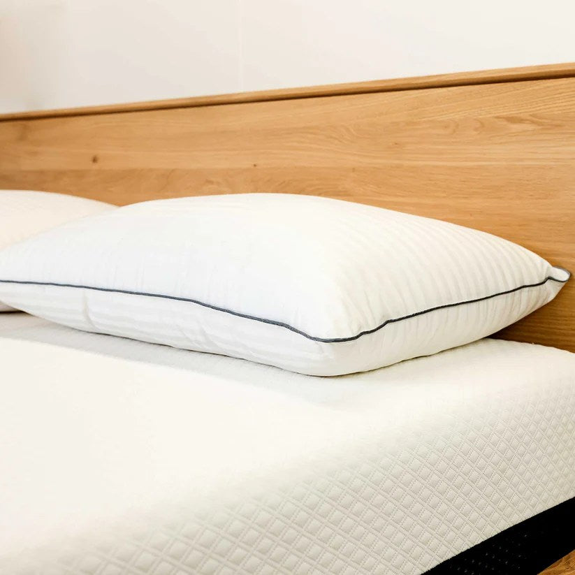 RX Two Pack Pillows